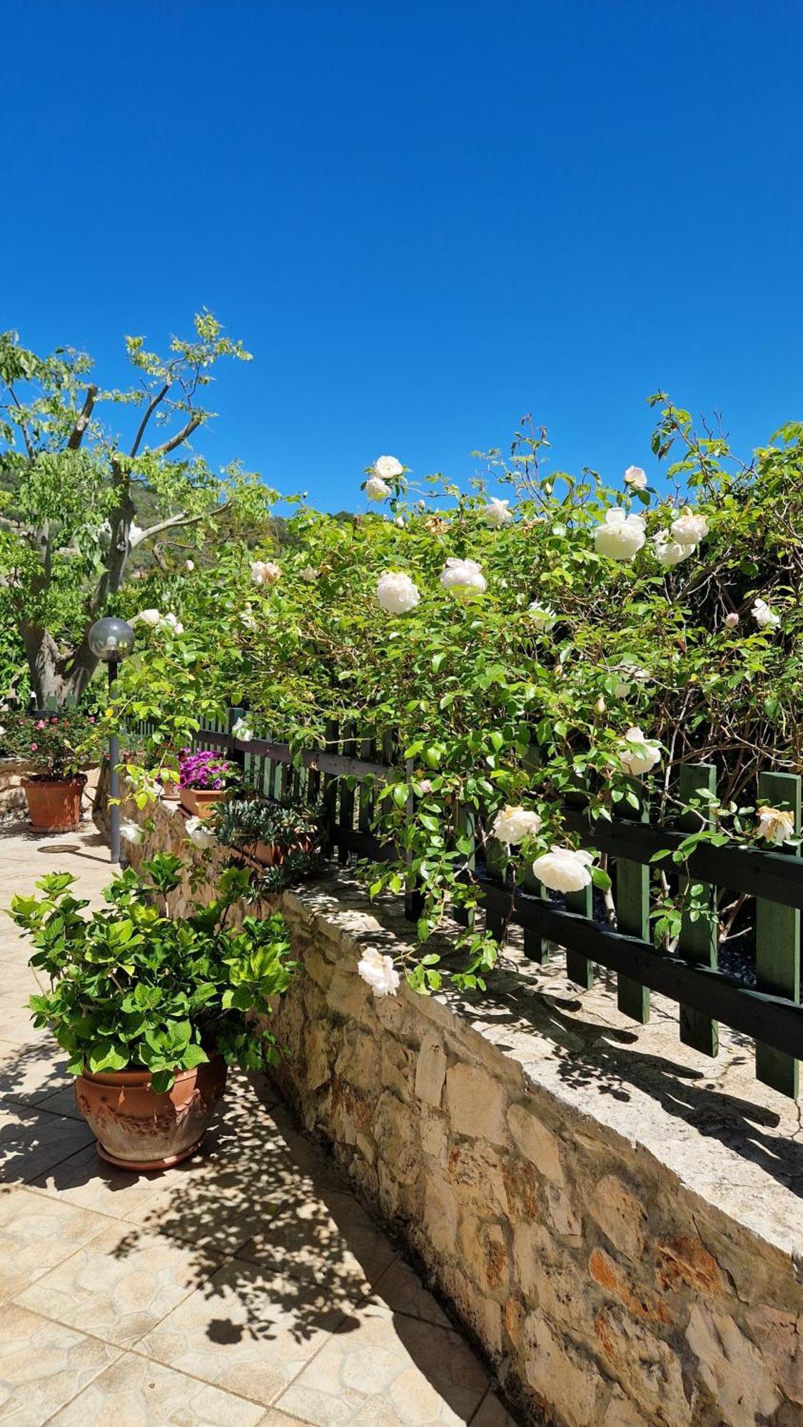 Trullo Grande Noce Villa Ostuni Bagian luar foto